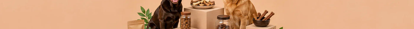 Pet Snacks Buying Guide 2026: Find the Perfect Treats for Every Pet