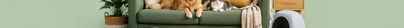 Best Pet-Friendly Furniture: Durable and Stylish Choices for Every Home