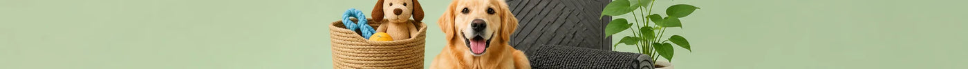 Best Floor Mats for Dogs and Pet Owners (What Actually Works)