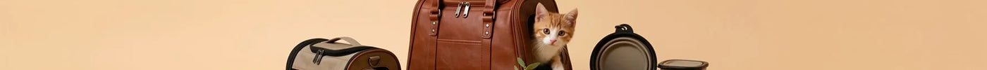 Best Pet Carrier Bags for Travel in the USA – A Complete Guide for Pet Parents