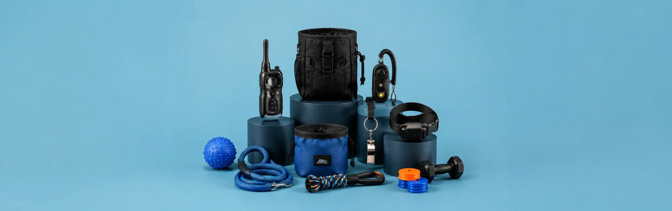Complete Guide to Dog Training Supplies for Trainers