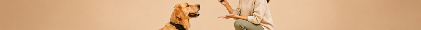 How to Use Barking Control Equipments? Tips for Effective Training