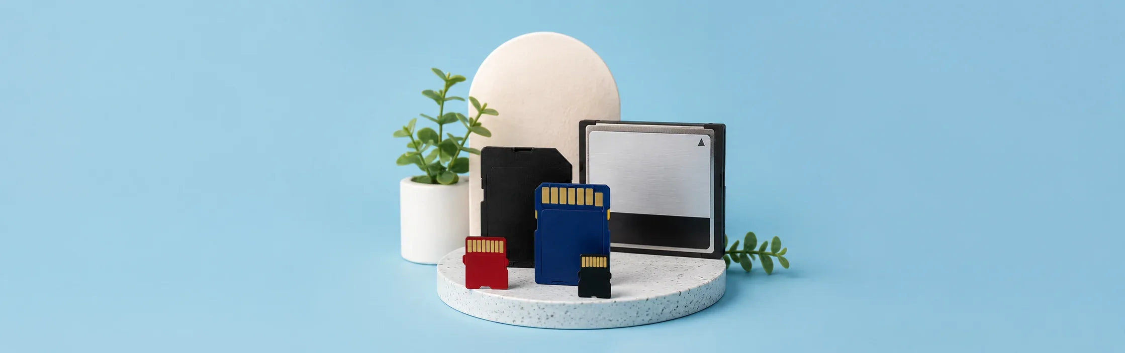 Memory Card Types Guide: Comparing SD, microSD, CF, and Other Formats