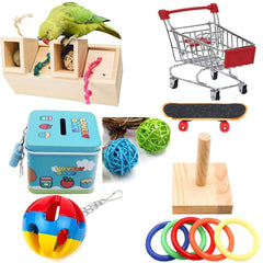Collection image for: Bird Toys