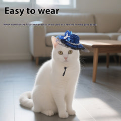 Collection image for: Pet Hair Accessories