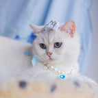 Necklace And Headdress Flower / L