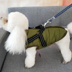 Army Green / 3XL