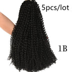 Black5pcs