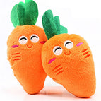 Radish