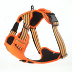 Orange / L