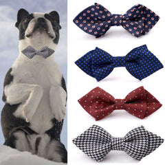 Collection image for: Pet Bows & Ties