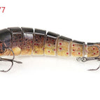 Trout C4377