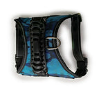 Cyan blue / L