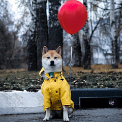 Collection image for: Pet Functional Clothings
