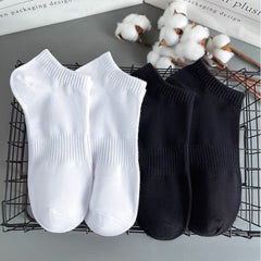 Collection image for: Socks