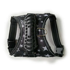 Black with Star / L