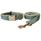 Collar Leash / L
