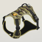 Army Green / L