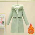 Bean Green / 2XL