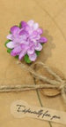 Purple carnation