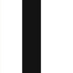 5PC Black / 500x50x1.1mm