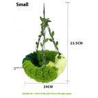Small Size