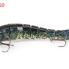 Trout C1350