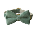 Bow tie Collar / L