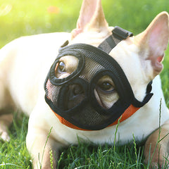 Collection image for: Pet Muzzles