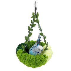 Collection image for: Bird Swings