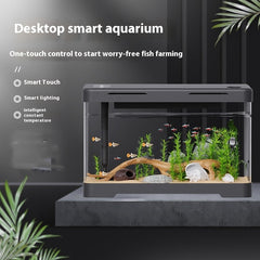Collection image for: Fish Tanks
