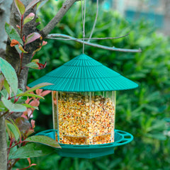 Collection image for: Bird Feeders