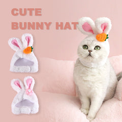 Collection image for: Pet Headwears