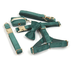 Collection image for: Custom Pet tags, Collars, Leashes & Harnesses