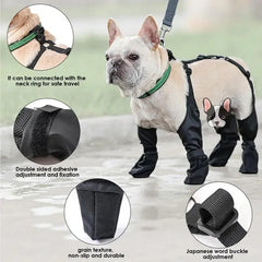 Collection image for: Pet Shoes & Socks