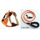Orange set / L