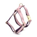 Pink purple / Thoracodorsal / L