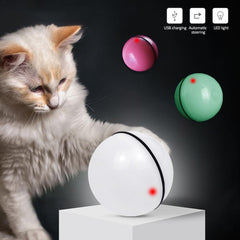 Collection image for: Pet Chase Toys